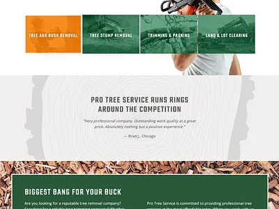 ProTree Services about company history design section tree services web design website