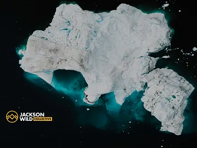 Jackson Wild Branding adventure branding logo