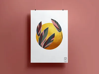 Calathea - Marantaceae l Poster