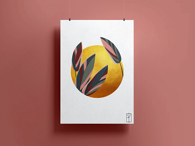 Calathea - Marantaceae l Poster