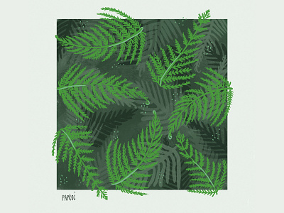 Fern illustration procreate