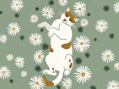 Daisies design illustration procreate