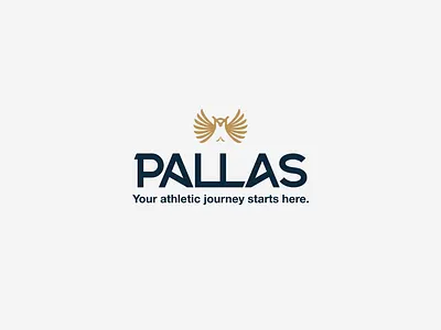 Pallas brand identity brand identity design branding coach branding fitness coach logo logo concept logotype owl logo performance coach sport design wellness