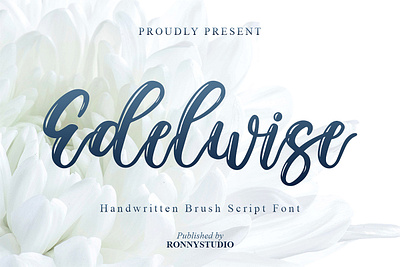 Edelwise - Handwritten Brush Script Font alphabet beauty font branding brush calligraphy design font handmade handwritten font illustration lettering logo script ui web font wedding font