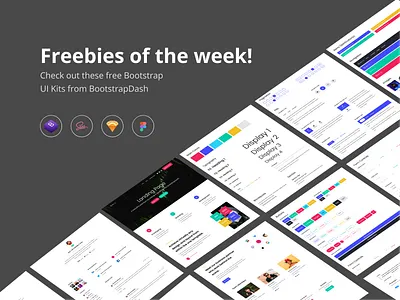 Free UI Kits from BootstrapDash bootstrap bootstrap 4 dashboard design product ui webapp