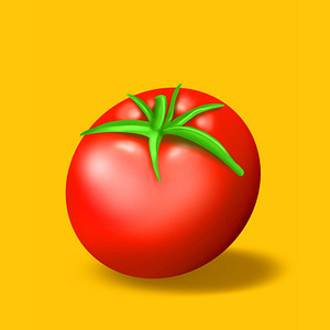 Digital Tomato | Procreate illustration by Amin Sattani on Dribbble