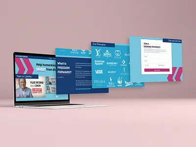 StopDictators.org Redesign - Web Design by Julia Barry aqua blue bright pink fuschia grassroots human rights julia barry landing page ngo non profit nonprofit pink political redesign sketch survey tweet at twitter web design web designer