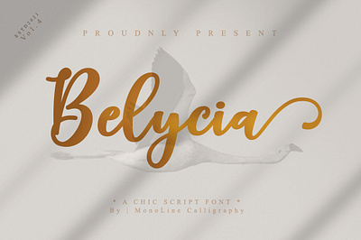 Belycia | a chicc script font | Design By MonoLine Calligraphy 3d animation app branding design graphic design icon illustration logo motion graphics typography ui ux vector