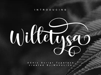Willetysa | A Chicc Script Typeface | Design By MonoLine Calligr 3d animation app branding design graphic design icon illustration logo motion graphics typography ui ux vector