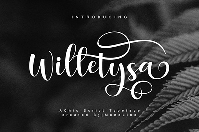 Willetysa | A Chicc Script Typeface | Design By MonoLine Calligr 3d animation app branding design graphic design icon illustration logo motion graphics typography ui ux vector