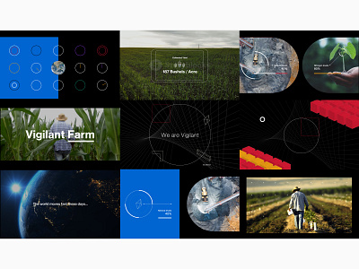 Vigilant art direction branding graphic design motion graphics style frames video