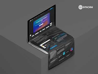 BitNorm Landing Page app branding design illustration logo ui ux uxdesign vector