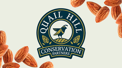 Quail Hill Animation animation branding design gif graphic design graphics logo