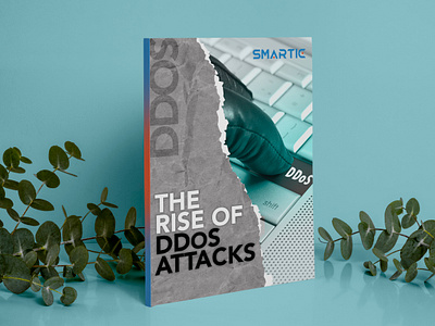 Format ebook, magazines, PDF and manual with graphics graphic design