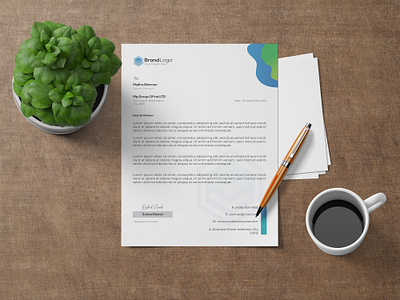 Letterhead design animation branding design graphic design logo