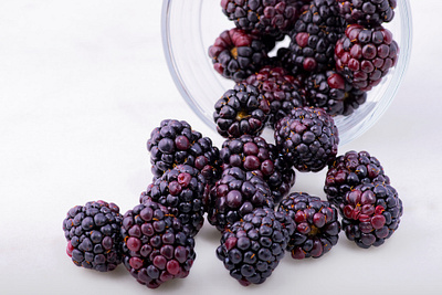 Blackberries blackberries fresh fruit photography