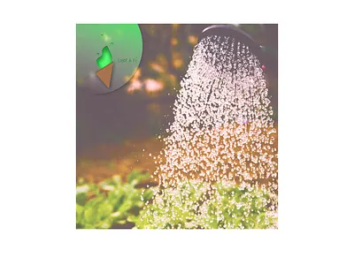 Leaf A Fi- DIY Tips for gardening at home (Design) branding business design figma graphic design icon illustration logo product design social media typography ui ux vector