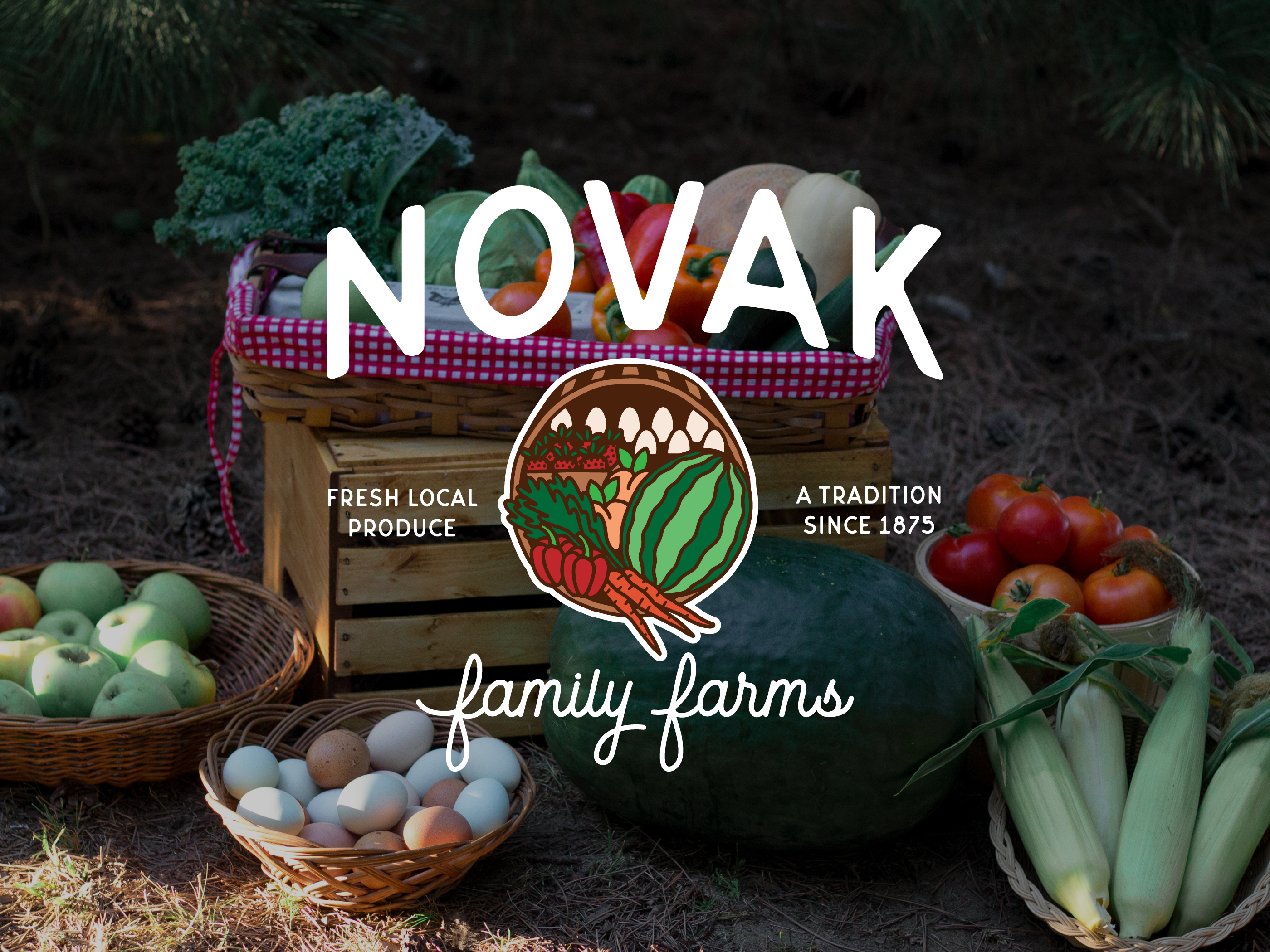 social media: novak family farms branding design family farm farm farmers market fruit illustration illustrative branding illustrator logo produce responsive branding responsive logo simple social media social media design veggies