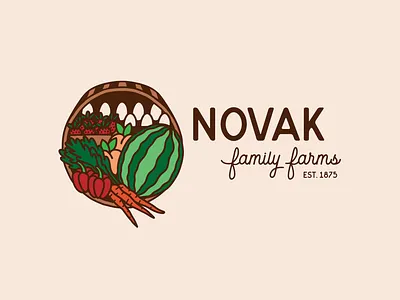 illustrative logo & branding: novak family farms branding colorful design eggs famers market family farm farm farm basket fruit illustration illustrative branding illustrator logo logotype produce veggies