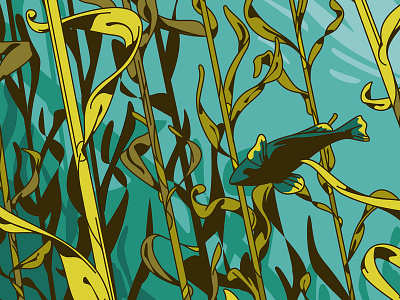 Kelp Forest fish illustration kelp kelp forest nature ocean vector