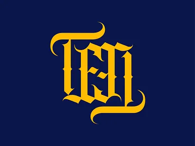 Teo Ambigram Logo ambigram logo type typography