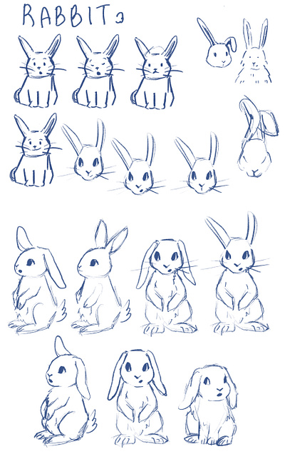 Rabbit character design bunnyy character character design children book illustration childrens book childrens illustration cute cute bunny illustration rabbit