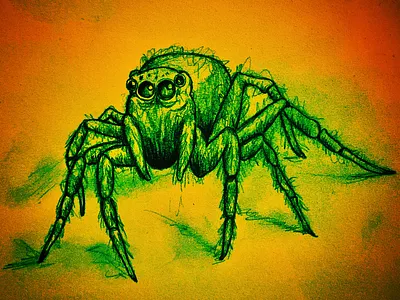 Spooky Spider art creative design drawing illustration spider