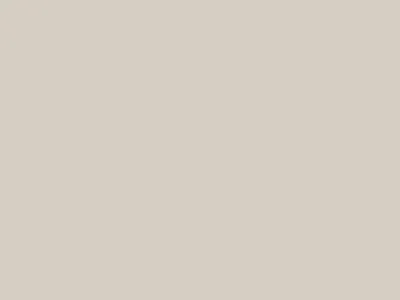 Fashion Minimal WebUI adobe branding design ui uiux ux uxdesign uxprocess webdesign website