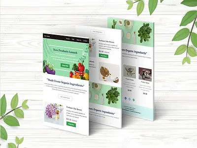 Email Newsletter / Template || Organic design emailautomation emailcampaign emailmarketer emailmarketing emailnewsletter emailtemplate frontend landingpage mailchimp mailchimpemailtemplate mailchimpnewsletter mockup webdesign website