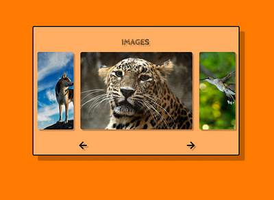 IMAGE SLIDER dailyui design illustration ui