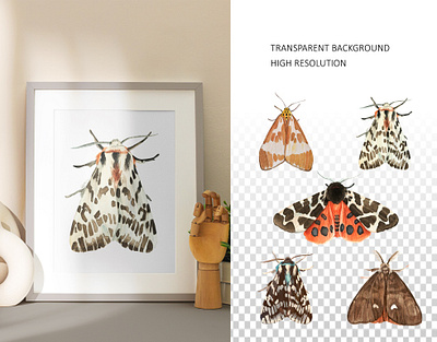 Watercolor moth aquarell butterfly collection colorful design illustration moth watercolor