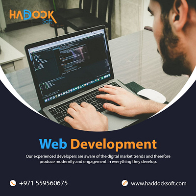 Website Design & Development Services