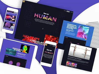 Seeker - Website Development seed funding