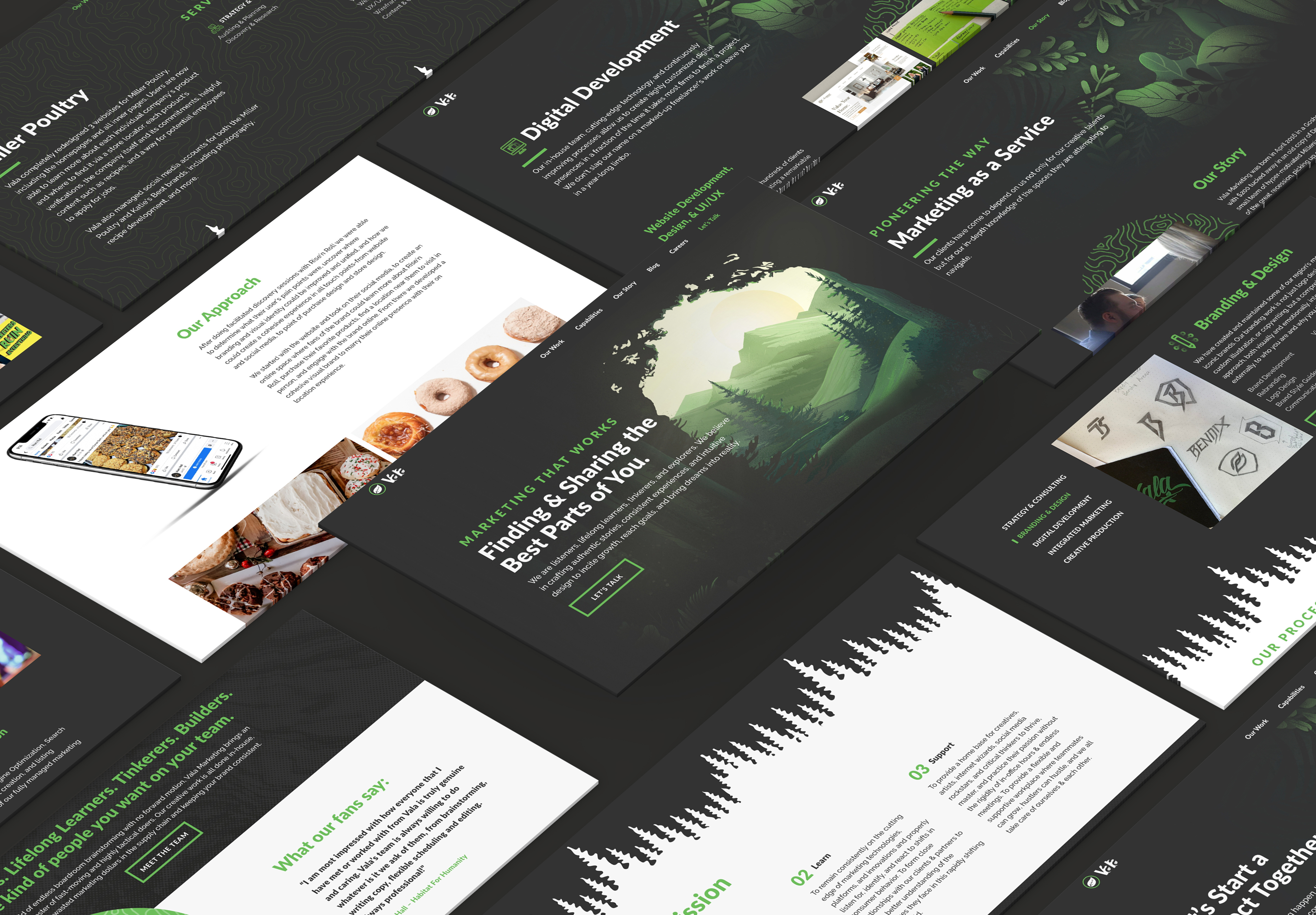 Example of NEW Vala Marketing Website