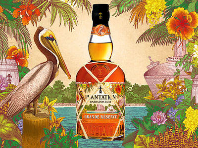 Plantation Rum Grande Réserve bottle brand identity illustration logo packaging design plantation rum rum spirits