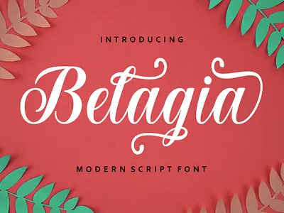 Belagia branding calligraphy casual design elegant graphic design lettering logo lovely modern font script
