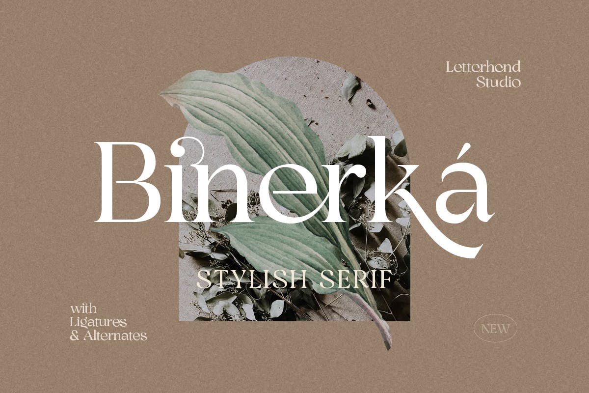 Binnerka Font app branding design display font graphic design illustration logo serif stylish typeface typography ui ux vector