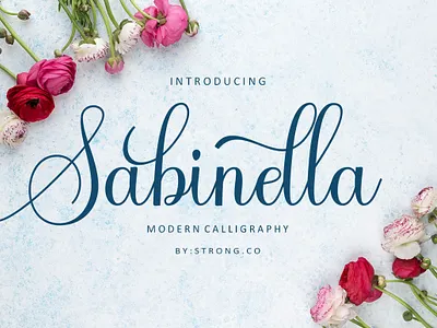 Sabinella animation beautiful fonts branding girly fonts graphic design logo fonts love fonts modern fonts