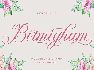 Birmigham branding calligraphy fonts graphic design invitation fonts logo packaging fonts retro fonts