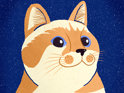 Furry Friends Club - Space Cat - NFT Cryptoart bulgaria cat cat illustration illustration nft nft art nft artist nft bulgaria nft cat nft space cat orange cat procreate space cat texture illustration cat