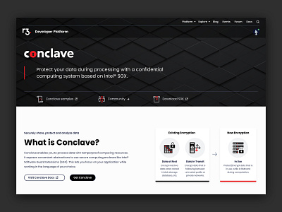 Developer Portal for R3 branding design developer portal frontend ui ux web design wordpress