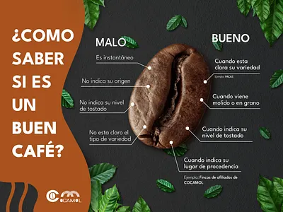 Infographic about to coffee affinity branding cafe coffee design graphic design honduras infographic logo