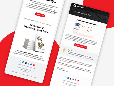 Email Campaigns for R3 Developers branding campaigns design development emails marketing pardot salesforce web designs