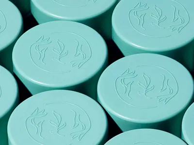 True Grace Bottles brand branding illustration logo packaging