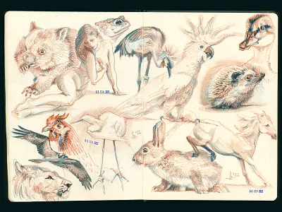 Spread of my A4 sketchbooks [pencils and pen] animals bird character concept art crosshatching design drawing etching graphic illustration pencil sketch sketchbook traditional art