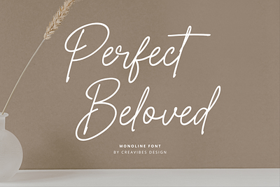 Perfect Beloved - Aesthetic Monoline Font animation app art branding design flat font graphic design icon illustration illustrator logo minimal typography ui ux vector web website wedding font