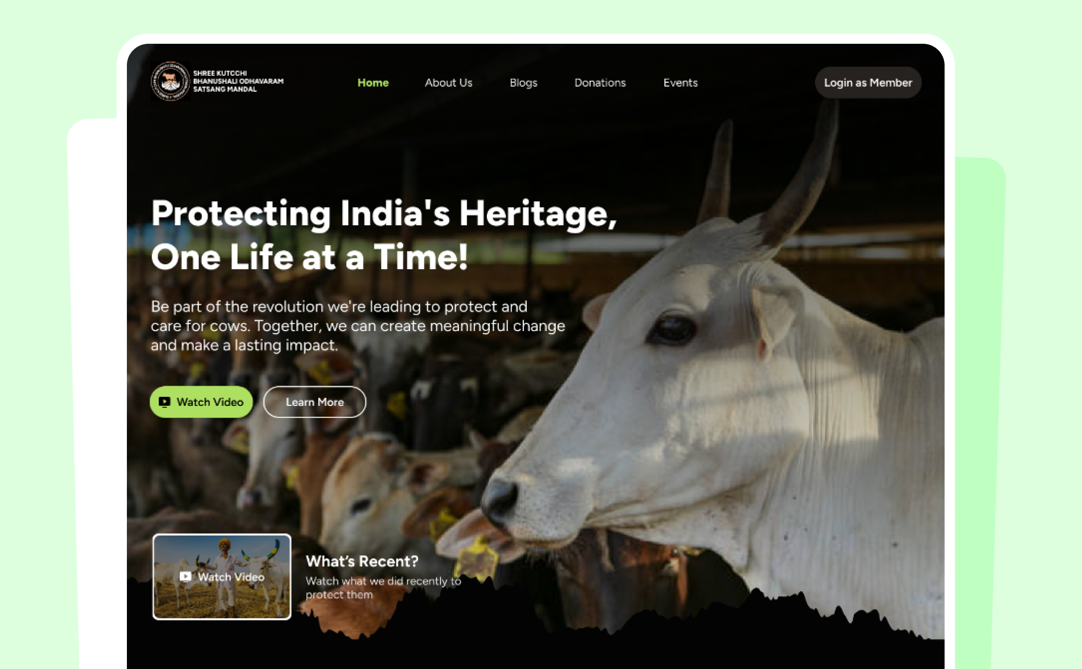 Example of Website Design