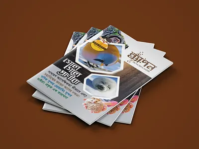 Magazine Design book cover cover cover design design graphic design magazine design