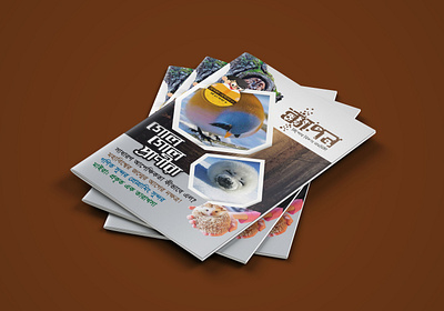 Magazine Design book cover cover cover design design graphic design magazine design