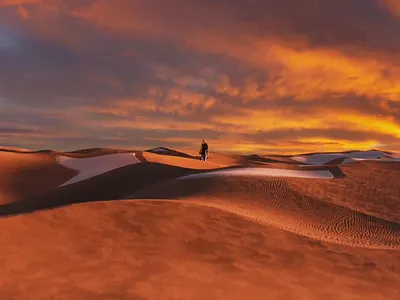 Anubis Reborn 3d animals animation anubis art black branding desert design digital egypt fashion god historical illustration logo mode typography